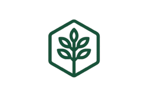 hexforest_studio